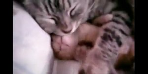 Πως ξεπερνιέται ένας ενοχλητικός εφιάλτης [βίντεο]