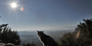 Φωτογραφία: Eurokinissi 