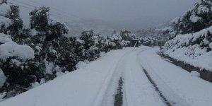 Φωτογραφία: zarpanews.gr