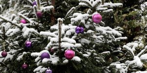 ΦΩΤΟΓΡΑΦΙΑ: Konstantinos Tsakalidis / SOOC