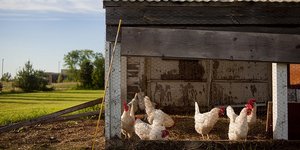 φωτογραφία: pixabay.com