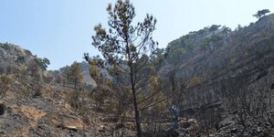 Φωτογραφία: astraparis.gr