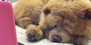 Φωτογραφία: Instagram