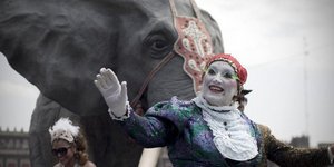 Εργαζόμενοι και ...τετράποδα διαδηλώνουν στο Μεξικό