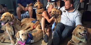 ΦΩΤΟΓΡΑΦΙΑ: Facebook /LCC K-9 Comfort Dogs