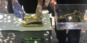 Φωτογραφία: Corriere della Sera