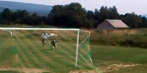 Αγελάδα... εισέβαλε σε αγωνιστικό χώρο [βίντεο]