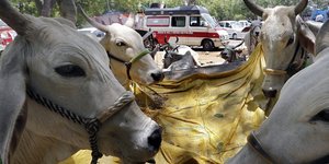 Φωτογραφία αρχείου: HARISH TYAGI/EPA/ΑΠΕ