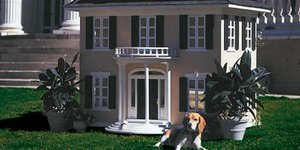 Πακέτο διακοπών μόνο για σκύλους: Σπα