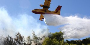 Δασική πυρκαγιά στην Καλαμπάκα -Ισχυρές δυνάμεις της Πυροσβεστικής στο σημείο