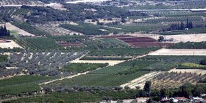 Δασικοί χάρτες: Εκκρεμότητες με 39 δήμους (Φωτογραφία: Eurokinissi)