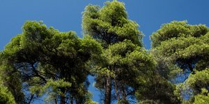 Φωτογραφία: Konstantinos Tsakalidis / SOOC