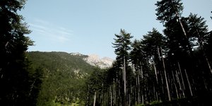 Τραγωδία στη Φθιώτιδα /Φωτογραφία Αρχείου: Intime News