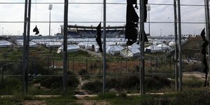 Αυτοψία στο... δάσος του Ελληνικού /Φωτογραφία: Nick Paleologos / SOOC
