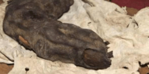 Αρχαιολόγοι ανακάλυψαν γιγαντιαίο δάκτυλο στην Αίγυπτο [εικόνα]