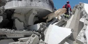 Φωτογραφία: Cuerpo De Bomberos Ibarra Ibarra/Facebook