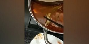 Το βίντεο με τον νεκρό αρουραίο έγινε viral. Φωτογραφία: YouTube