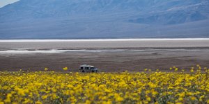 ΦΩΤΟΓΡΑΦΙΑ: AP