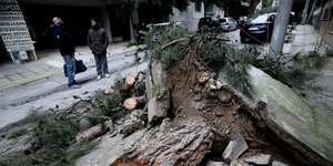 Πτώση δέντρου στη Ν. Σμύρνη/ Φωτογραφία: EUROKINISSI- ΓΙΑΝΝΗΣ ΠΑΝΑΓΟΠΟΥΛΟΣ