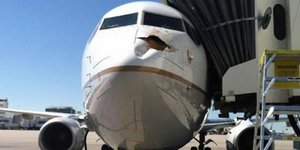 Δες τί ζημιά μπορεί να προκαλέσει σε ένα αεροπλάνο ένα πουλί [εικόνες]