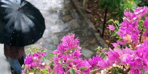 ΦΩΤΟΓΡΑΦΙΑ: EUROKINISSI /ΓΙΩΡΓΟΣ ΚΟΝΤΑΡΙΝΗΣ