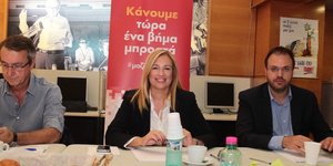 Φωτογραφίες: Eurokinissi-ΣΤΕΛΙΟΣ ΣΤΕΦΑΝΟΥ