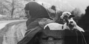 Φωτογραφία Κώστας Μπαλάφας