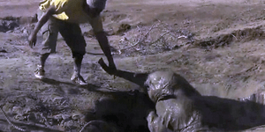 Συγκινητικό βίντεο από την διάσωση ενός μικρού ελέφαντα από πηγάδι [βίντεο]