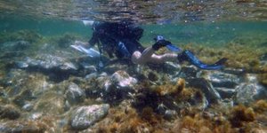 Έρευνα στον όρμο του Σκαρδανά