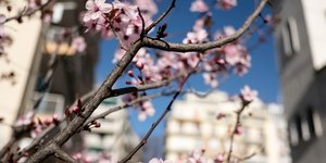 Φωτογραφία: Konstantinos Tsakalidis / SOOC