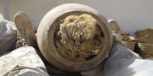 Ανατριχιαστική αρχαιολογική ανακάλυψη: Οι αρχαίοι Αιγύπτιοι έθαβαν τα σκυλιά του