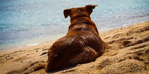 φωτογραφία: pixabay.com