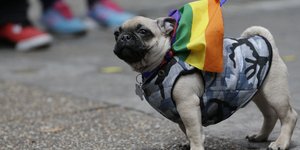 Φωτογραφία: AP/ Fernando Vergara