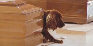 Φωτογραφία: Τelegraph.co.uk