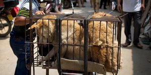 Φωτογραφία: AP