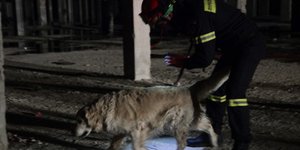 Εξαφανίστηκε 71χρονος στην Υπάτη/Φωτογραφία: ΠΑΝΑΓΟΠΟΥΛΟΣ ΓΙΑΝΝΗΣ/Eurokinissi/ Αρχείο