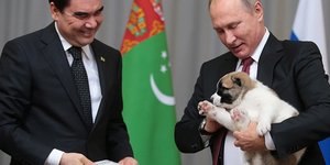 Τον φωνάζουν Πιστό 