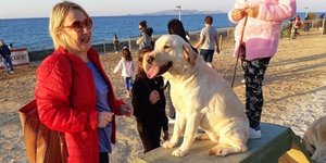 Πάρκο σκύλων στο Ηράκλειο Κρήτης (Φωτογραφία: zarpanews)