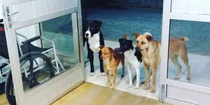 Τη συγκινητική φωτογραφία ανήρτησε στο Facebook μια νοσοκόμα (Φωτογραφία: Cris Mamprim/Facebook)