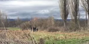 Φωτογραφία: alpha-fm.gr