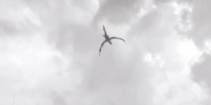 Και όμως στην Αγγλία κάποιοι βλέπουν... δράκους [βίντεο]