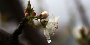 ΦΩΤΟΓΡΑΦΙΑ: EUROKINISSI