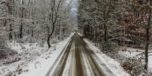 παγετός/Φωτογραφία: Eurokinissi