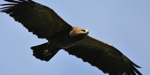 Φωτογραφία: AP/ Sergei Grits