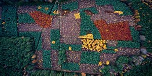 Θέα από ψηλά -Εκπληκτικές αεροφωτογραφίες που κάνουν τη Γη να μοιάζει με ζωγραφι