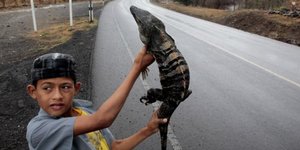 Ας φάνε ιγκουάνα -Η απίστευτη συμβουλή που δίνει η κυβέρνηση στο λαό της Νικαράγ