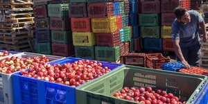 Η ΕΕ θα προσφύγει στον Παγκόσμιο Οργανισμό Εμπορίου για το εμπάργκο που επέβαλε 