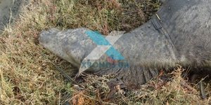 Φωτογραφία: xronos.gr