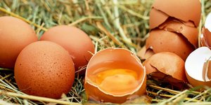 φωτογραφίες: pixabay.com