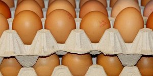 Mολύνθηκαν με fipronil